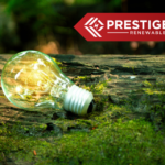progressive green solutions