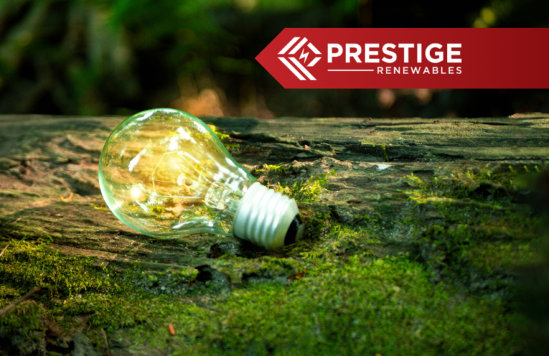 progressive green solutions