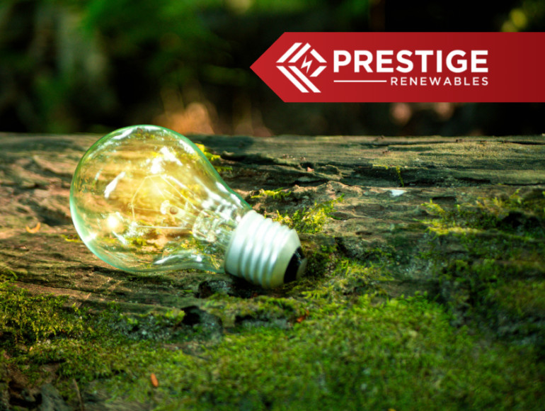 progressive green solutions