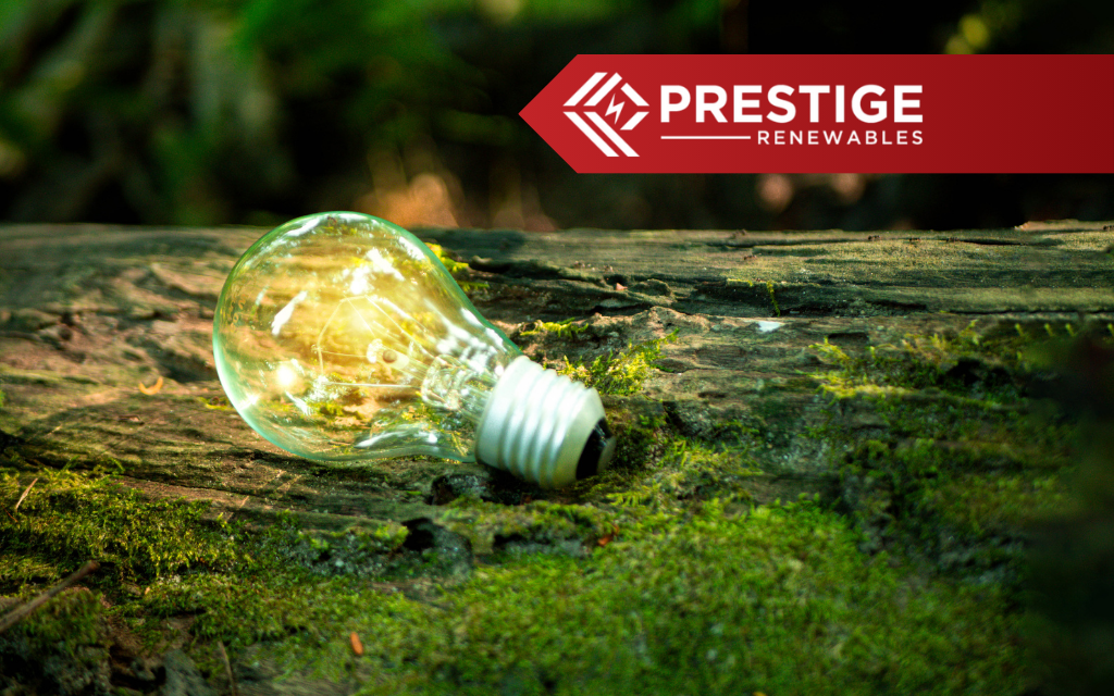 progressive green solutions